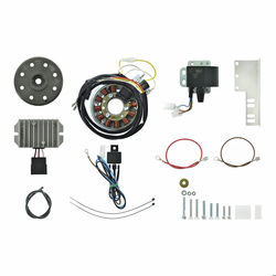 6V 100W Magneto Ignition System for JAWA 11/353/355/356/559/590 +CZ Models