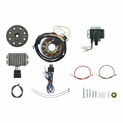 Magneto ignition system 6V 100W for MZ TS250/TS250/1 - Electronic ignition
