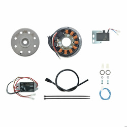 Lichtmagnetzündanlage 12V 100W DC für Suzuki TS/RV 125 - Zuverlässige Passform