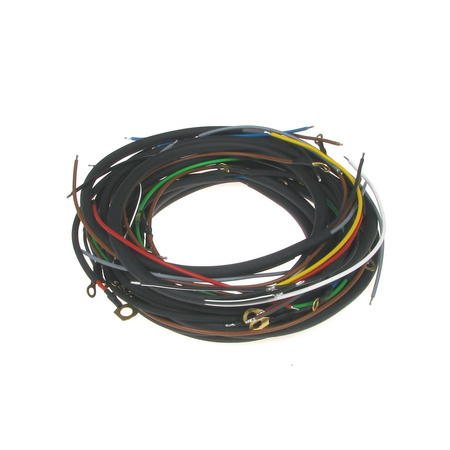 Wiring harness for IWL TROLL (with colored circuit diagram)