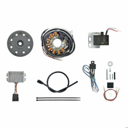 Lichtmagnetzündanlage 12V 100W für DKW 125W mit 17 mm Welle – Ersatzsystem