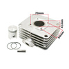 Set Zylinder 60ccm ø41 + Kopf + Dämpfungsgummis für Simson S51 S50 SR50 KR51