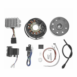 Magneto Ignition System for IFA/MZ RT 125 — 12V 100W Full Ignition