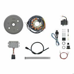 Magneto ignition system 12V 180W for DKW SB200 TM200 Sport 250 Block 200-300