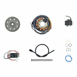 System zapłonowy magnetyczny do Rotax 124GS + MC, 174GS (SWM), Puch Frigero