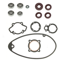 Engine Seal Kit w/ FAG Bearings & Oil Seals for MZ RT125/1 125/2