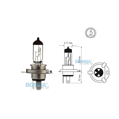 Glühlampe Glühbirne Halogen H4 24V 75/70W P43t mit E-Prüfzeichnen im Karton