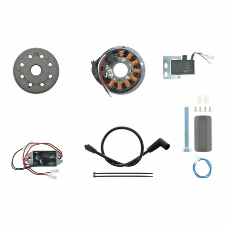 Zestaw zapłonowy magneto dla Rotax 406, 244, 280, 281, 282, 366 Can Am