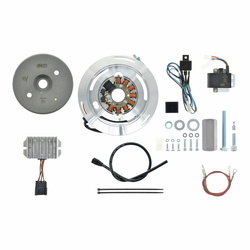 Magneto Ignition System 12V/180W for Ardie B250, B251, B252, Victoria KR25, KR26