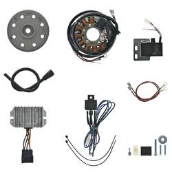 12V 100W Magneto Ignition for Ludwigsfelde TR150 Scooters – High Ignition Power