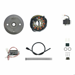 Lichtmagnetzündanlage 12V 100W DC für Sachs-Motor SM51 175ccm