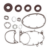 Zestaw uszczelek + uszczelki olejowe do motoroweru Jawa Mustang typ 21 23 50 Zestaw uszczelek silnika