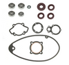 Engine Seal Kit w/ FAG Bearings & Oil Seals for MZ RT125/1 125/2