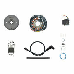 Magnetic Ignition System for Husqvarna WR 250/360 with FEMSA large shaft