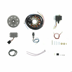 Lichtmagnetzündanlage 12V 180W für MZ ES175/250/300, ETS250, TS250
