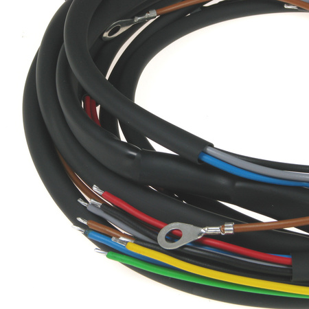 Cable harness for TRIUMPH TWN BDG 250 250 H 125 SL (with colored circuit diagram)