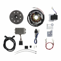Lichtmagnetzündanlage 12V/150W für DKW RT 350S - Ersatzsystem