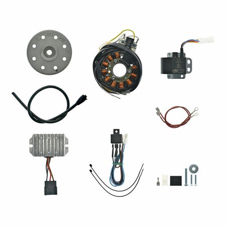 12V 150W Magneto Ignition System for POWERDYNAMO MZ ES175-300, ETS250