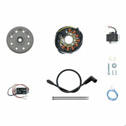 Lichtmagnetzündanlage für Kawasaki KDX 175/250 KX500 - 12V/100W DC Powerdynamo