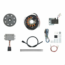 12V 100W DC system zapłonowy dla Jawa CZ 1-cylindrowych motocykli