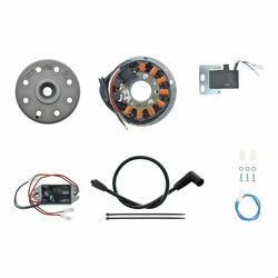 Magnetoelektryczny układ zapłonowy 12V 100W AC do Suzuki RV/AP/GT/TS 50/80 TS125 GP125