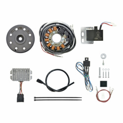 Magnetic Ignition System 12V 100W DC for Maico 200, 250B - Blizzard & Military