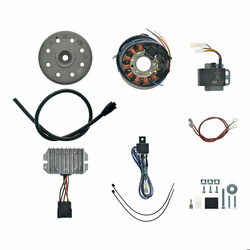 Alternator + Ignition System for MZ ETZ 250, 251, 301 — Electronic, 12V