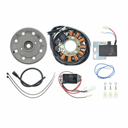 12V 100W Magnetozapłon dla Kreidler K53, K54, Flory MF12-MF34