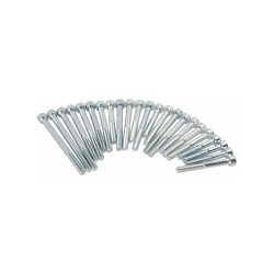 MZ ETZ 250 Engine Bolt Kit 23pc Zinc-Plated