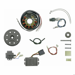 Magneto ignition system for Ludwigsfelde Pitty SR56 SR59 TR150 - 6V 75W DC