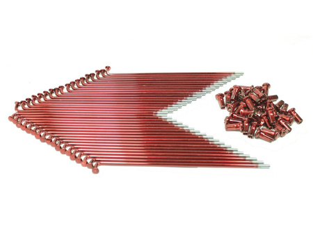 Spoke Set for SIMSON Models: KR51/2, S51, S53, S70, S83 – red coated