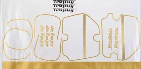 Striping decal kit for MZ ES 250/2