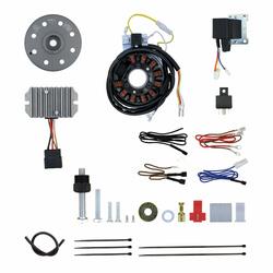 Magneto ignition system for MZ ES125, ES150, TS125, TS150 - Fully electronic