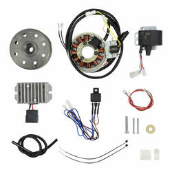 Lichtmagnetzündanlage für POWERDYNAMO ES175, ES250, ES300, ETS250 — 6V 100W