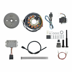 Magneto ignition system 12V 180W DC for DKW NZ 250/350 - replacement system